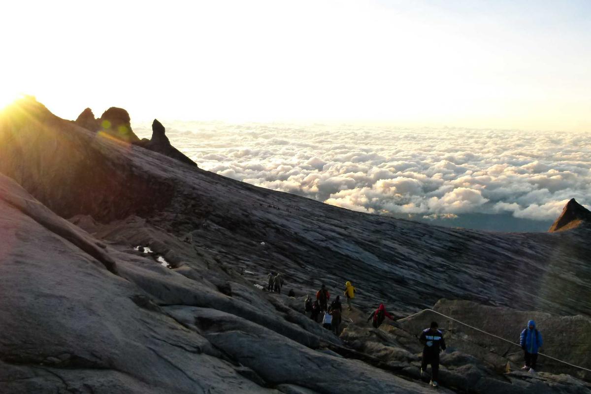電子材料・半導体